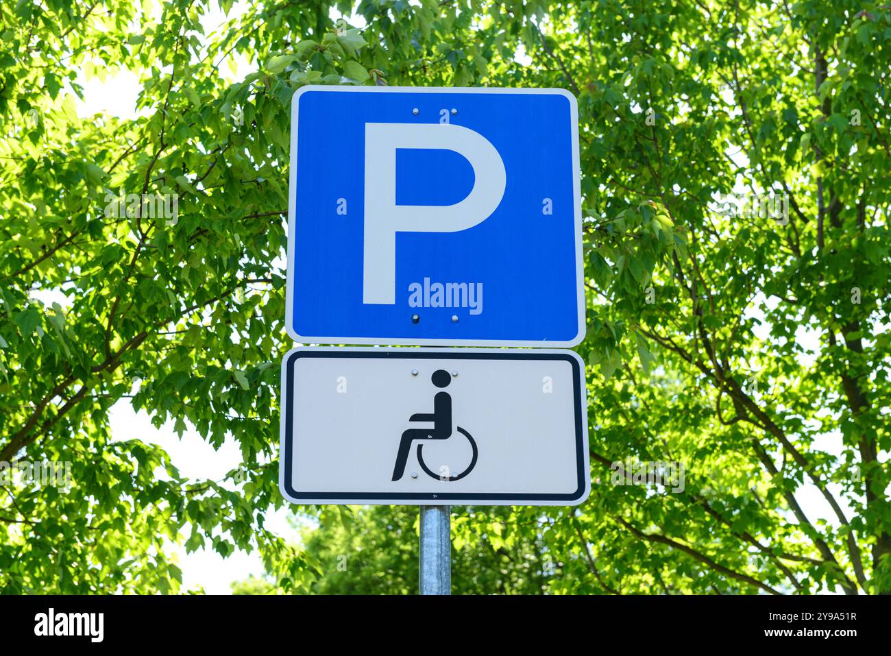 Indicazioni per il parcheggio per disabili in città, primo piano Foto Stock