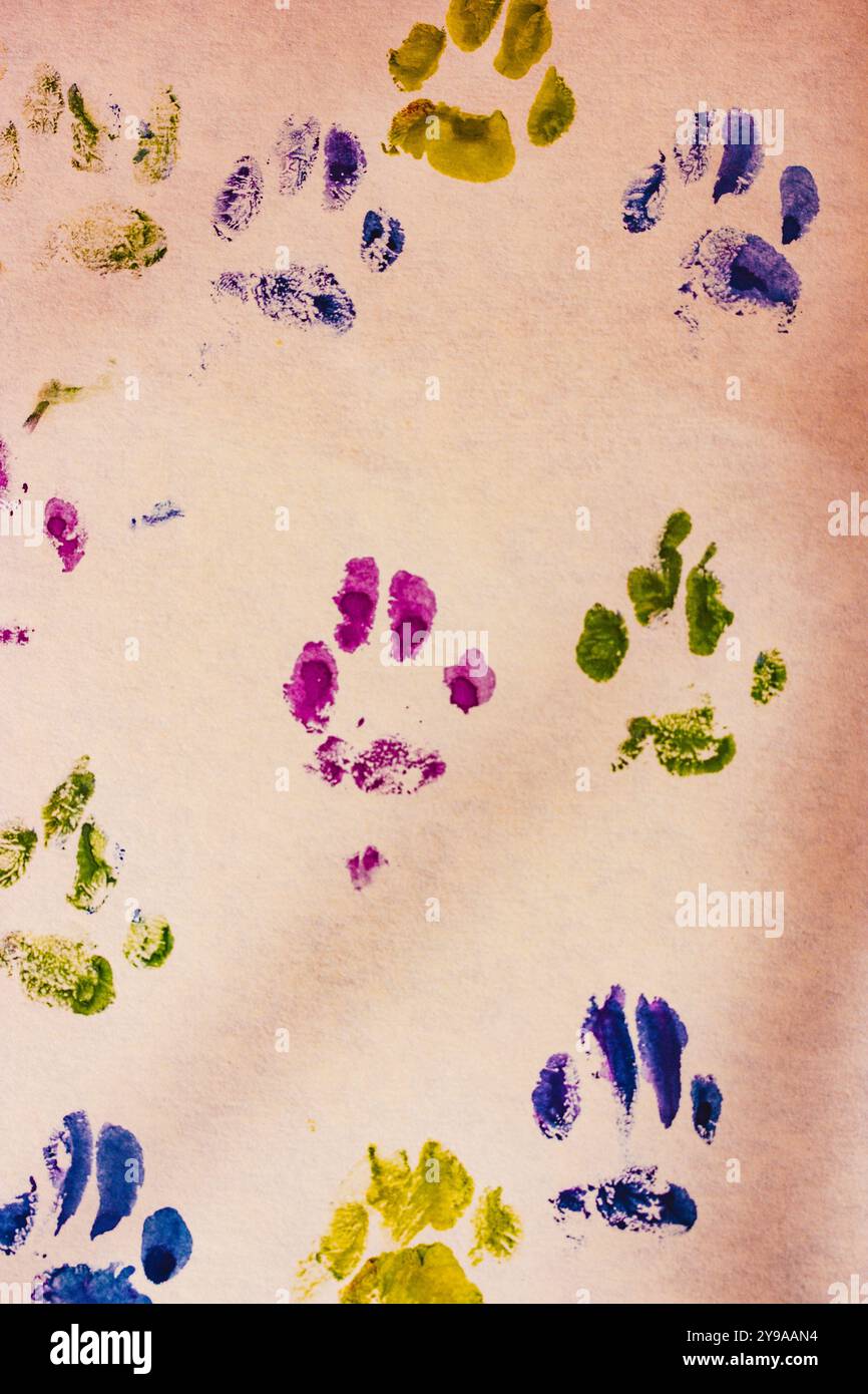 Le zampe vengono stampate. Immagine disegnata da un gatto o da un cane con zampa animale stampata su carta bianca acquerello disegnato da un animale domestico. Le impronte degli animali. Vernice per gattini Foto Stock