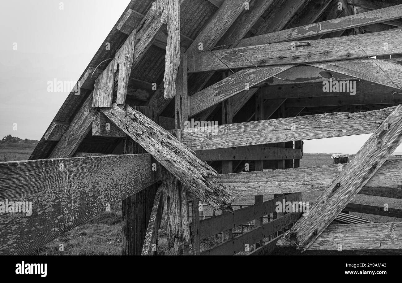 Abandoned Barn, Black and White Image, USA, Nord America Foto Stock