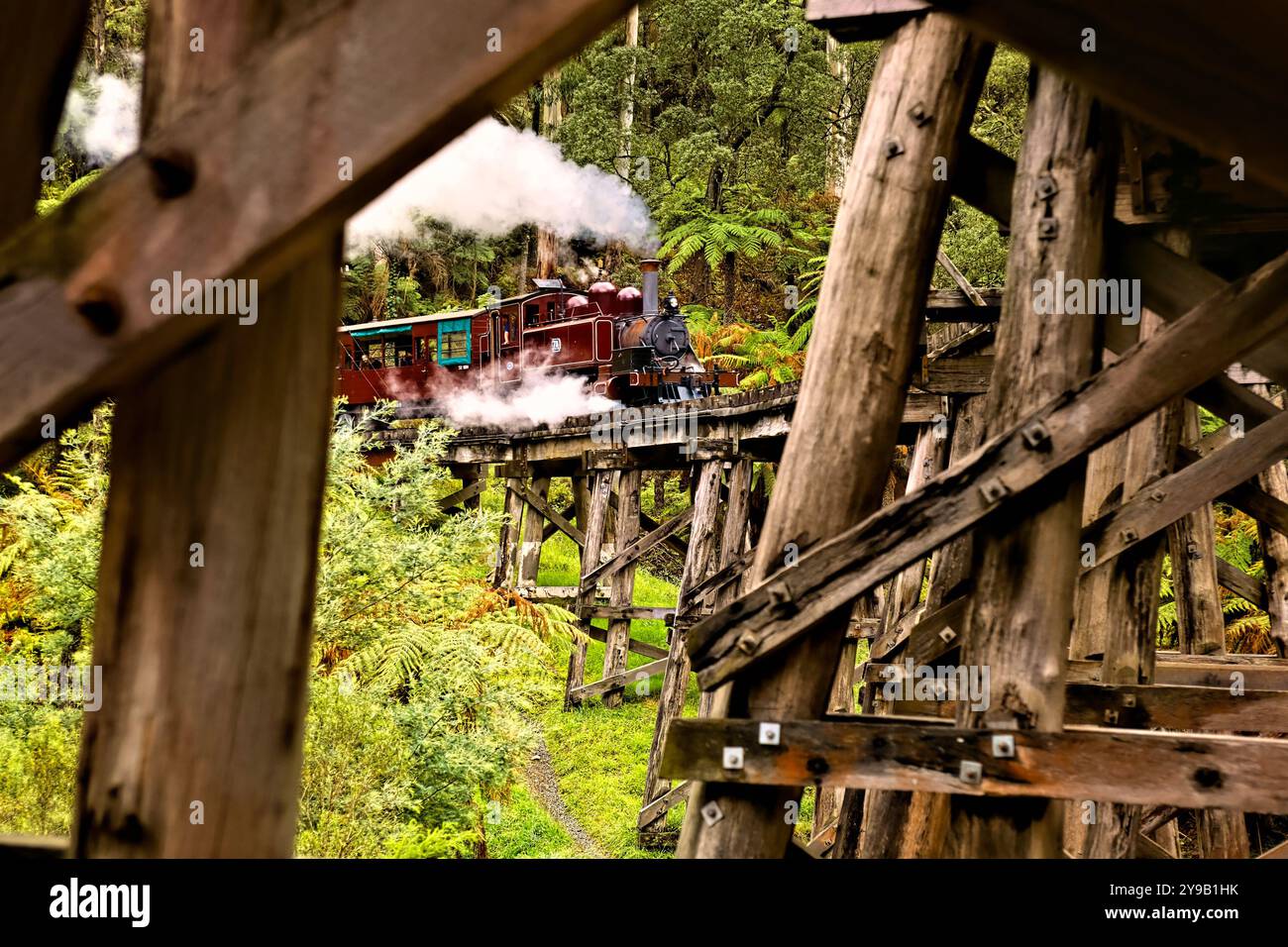 Carrozze passeggeri Puffing Billy che attraversano il Trestle Bridge costruito nel 1899, il Dandenong Ranges Victoria, Australia Foto Stock