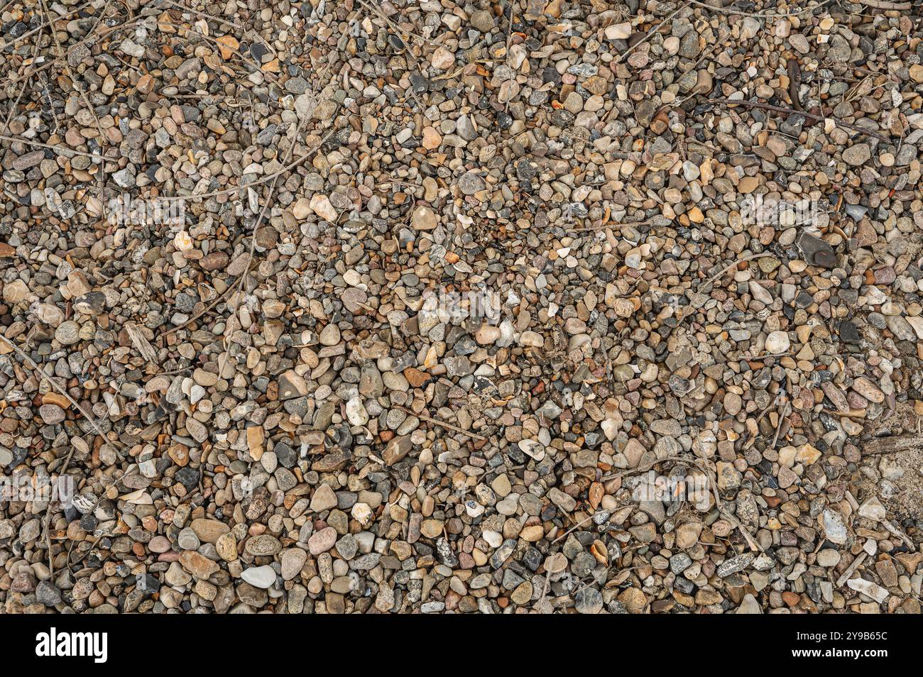 Un modello di piccoli ciottoli stesi su una spiaggia da usare come texture di fondo, Danimarca, 24 settembre 2024 Foto Stock