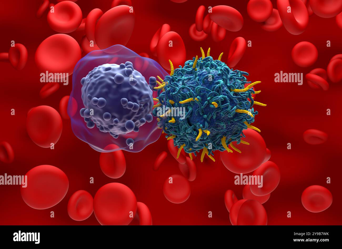 Terapia con cellule T di CAR nella leucemia mieloide acuta (LMA) - Vista ravvicinata illustrazione 3d. Foto Stock