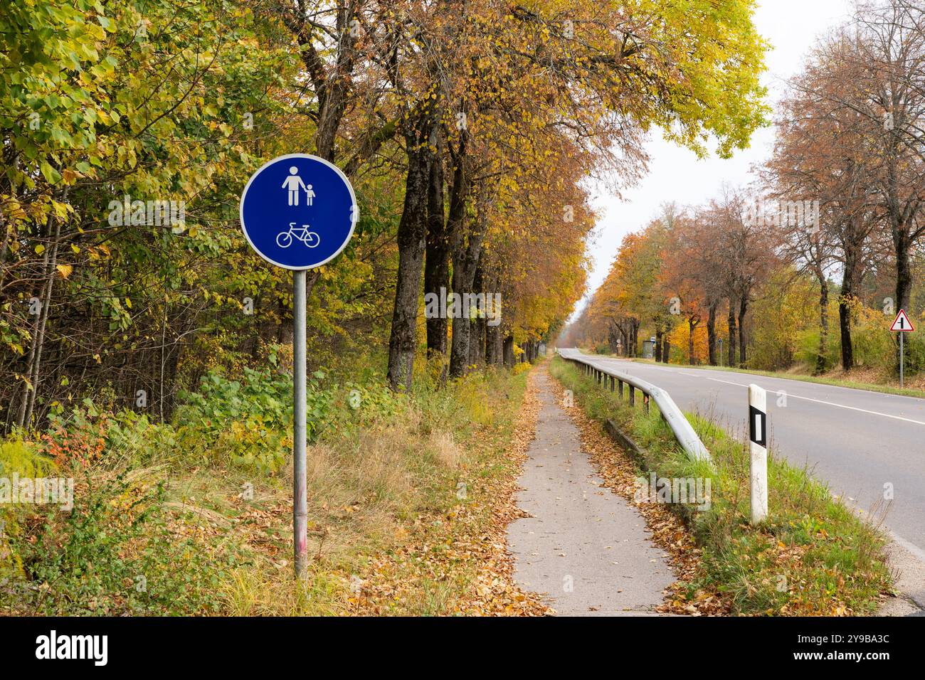 Pista ciclabile e pedonale su strada con cartello in auto con molte foglie, Lituania Foto Stock