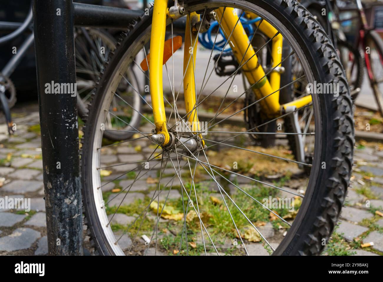 Una bicicletta di colore giallo brillante si appoggia su un robusto palo, mostrando il suo colore unico tra foglie cadute su una strada acciottolata. La scena cattura il Foto Stock