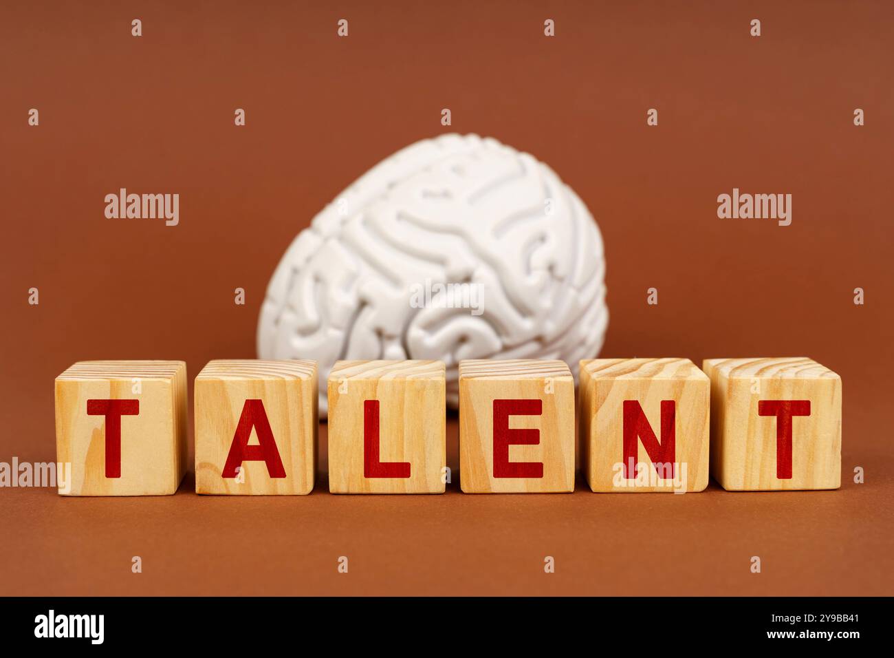 I blocchi di legno definiscono il talento di fronte a un modello cerebrale strutturato, simboleggiando il legame tra processi cognitivi e abilità umane. Foto Stock