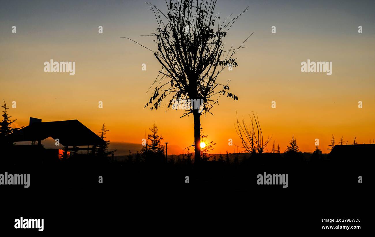 Profilo dell'albero al tramonto con casa di montagna Foto Stock