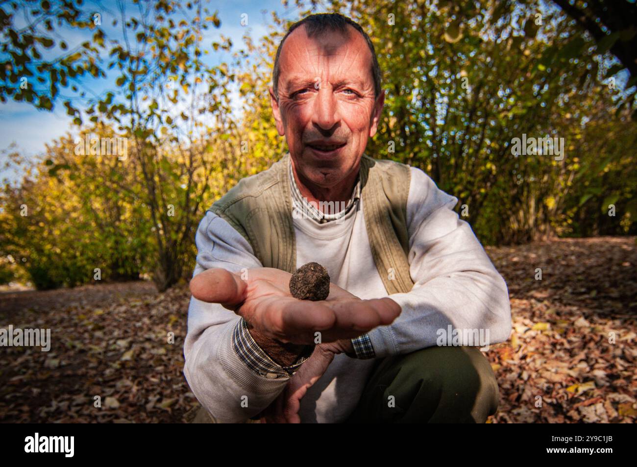 ALBA, ITALIA - 21 OTTOBRE 2022: Un cacciatore di tartufi cerca tartufi pregiati nei lussureggianti boschi di Alba, mostrando il ricco heritag culinario della regione Foto Stock