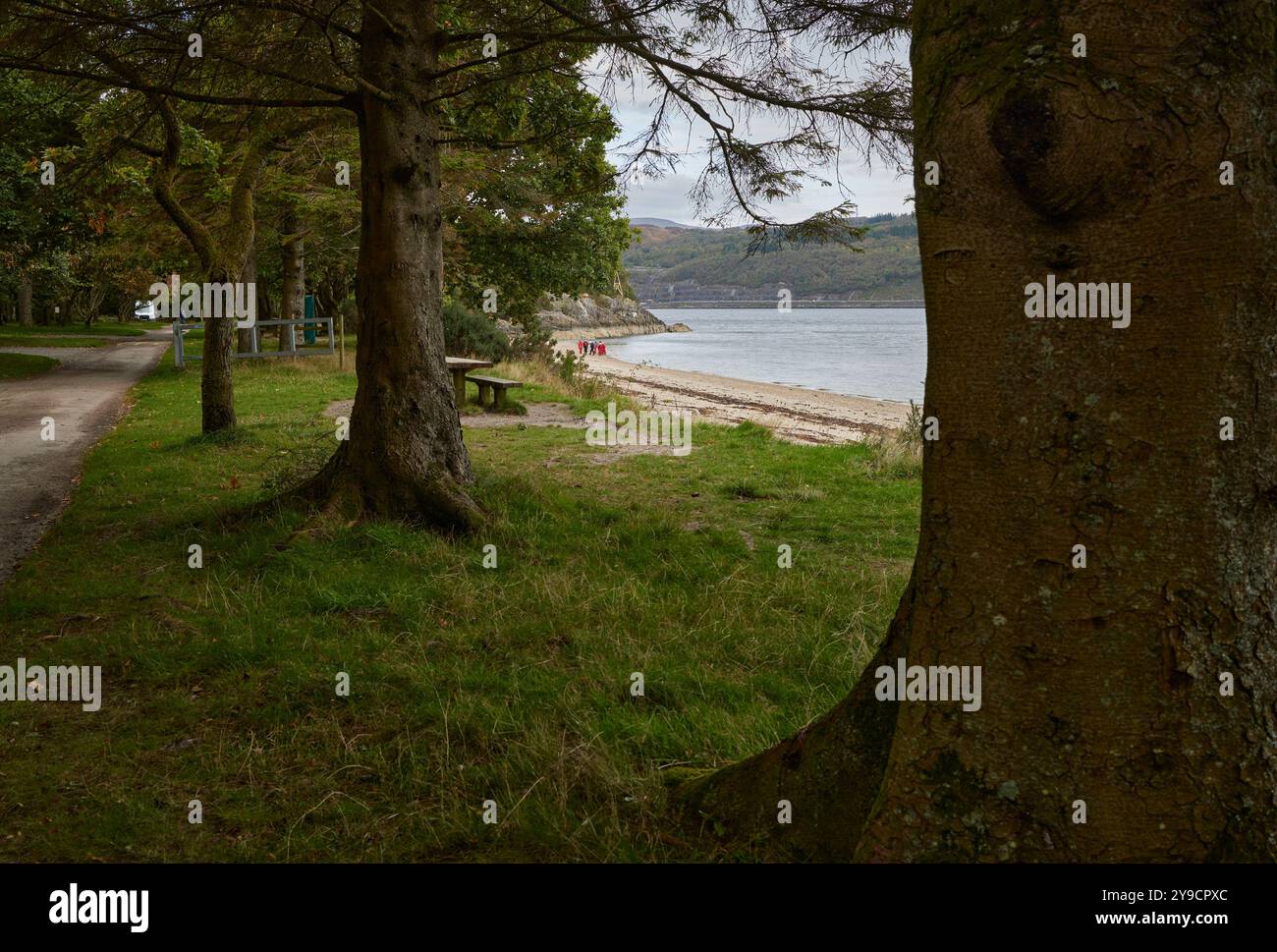 Dal parcheggio di Ardentinny Beach che guarda a nord-est a White Bay con un gruppo di avventurieri distanti sul lago. Ardentinny, Argyll e Bute, Scot Foto Stock