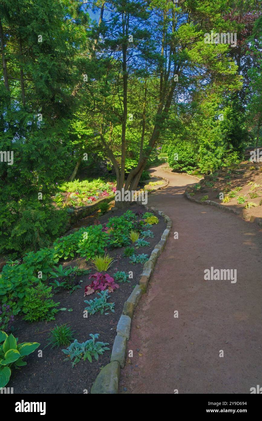 La fotografia mostra il percorso e il torrente, che si snodano attraverso i pittoreschi giardini cinesi di Ayr Campus, l'Università della Scozia occidentale. Queste beaut Foto Stock
