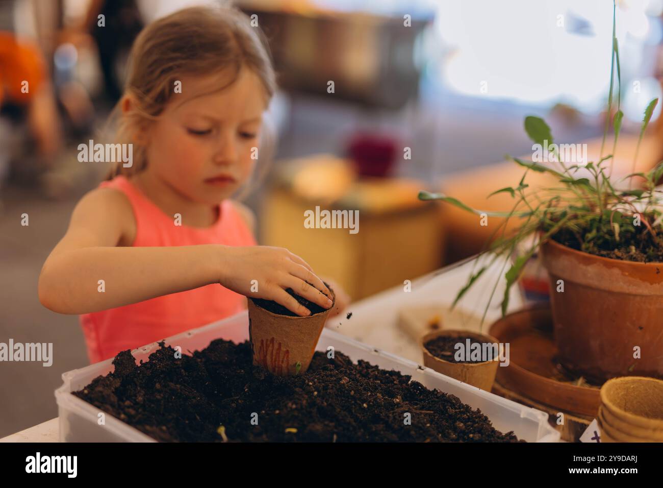 Ragazza che semina semi per piantine in piccoli vasi di torba riciclabili, contenitore per piantine. I bambini imparano a crescere. Foto di alta qualità Foto Stock