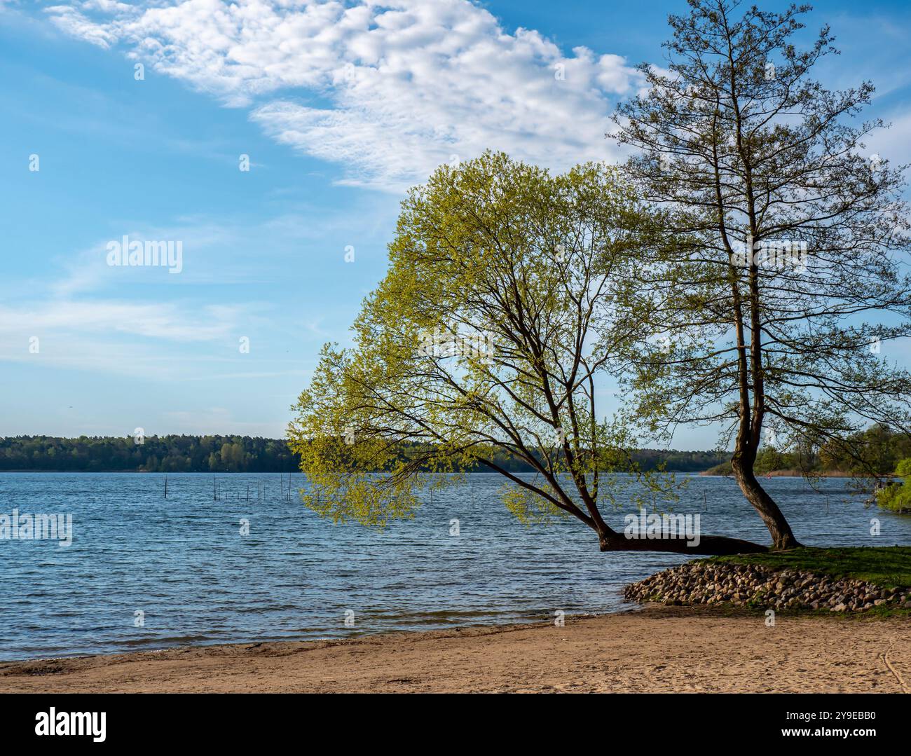 Paesaggio Parco Nazionale di Mueritz sul distretto dei laghi del Meclemburgo in Germania Foto Stock