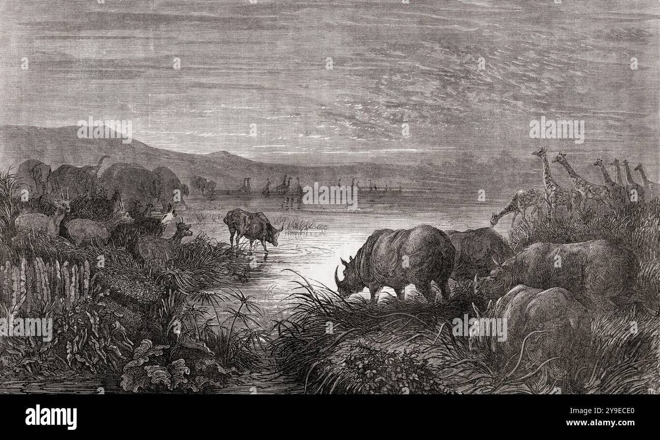 Animali selvatici in un pozzo d'acqua, visti durante la spedizione di Charles John Andersson in Sud Africa, 1850 - 1860. Dopo un'incisione di Gustave Doré. Da le Tour du Monde, pubblicato Parigi, 1860. Foto Stock