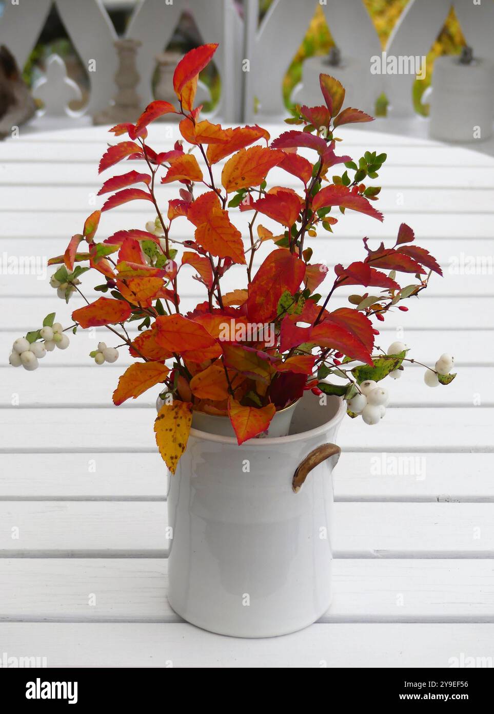Mazzo di autunno Foto Stock