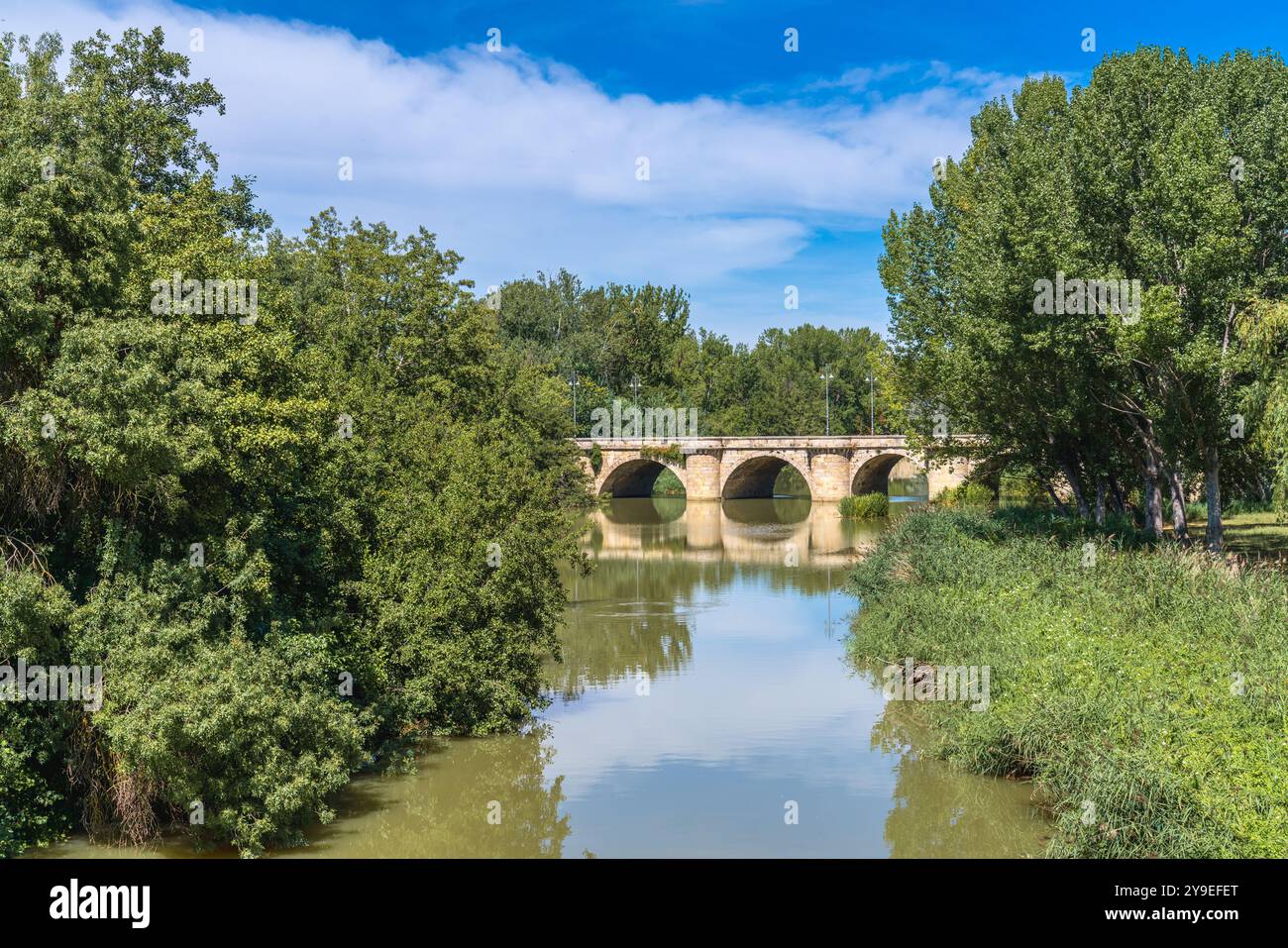 Vista panoramica del fiume Carrión in estate con vegetazione verde nella città di Palencia, Castilla y León, Spagna Foto Stock