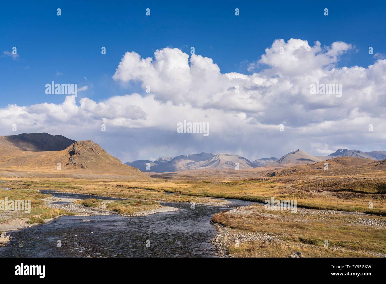 Vista panoramica estiva del fiume sulle pianure Deosai ad alta quota, Skardu, Gilgit-Baltistan, Pakistan Foto Stock