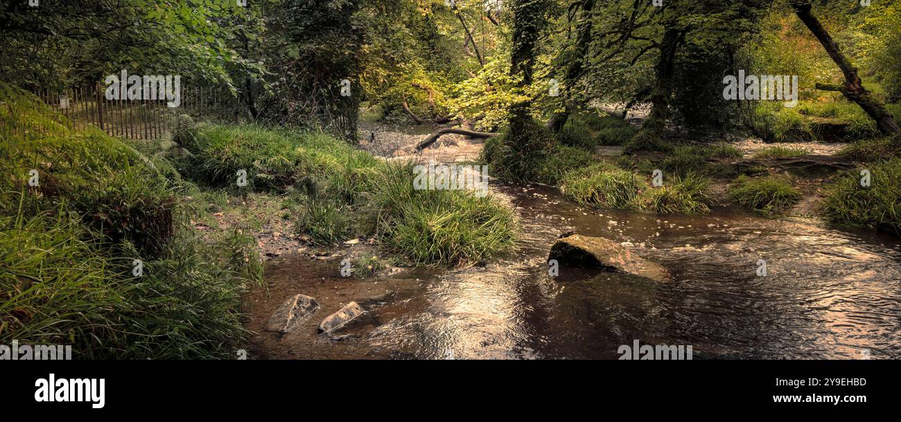 Cascate di Golitha. Un'immagine panoramica del fiume Fowey che scorre attraverso l'antico bosco di Draynes Wood sul Bodmin Moor in Cornovaglia nel Regno Unito. Foto Stock
