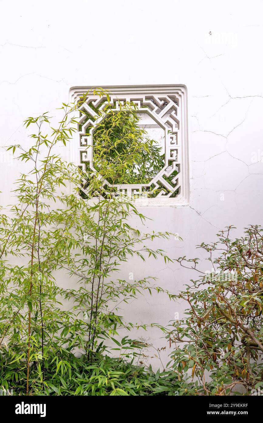 Vancouver, Columbia Britannica, Canada – 28 settembre 2024: Primo piano di bambù e una finestra al Dr. Sun Yat-Sen Classical Chinese Garden di Vancouver Foto Stock