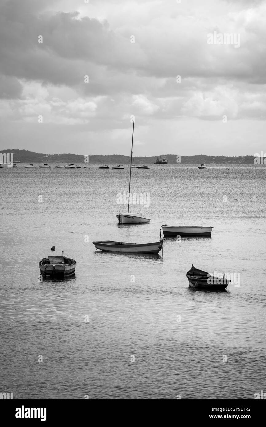 Guarda la barca sul mare Foto Stock