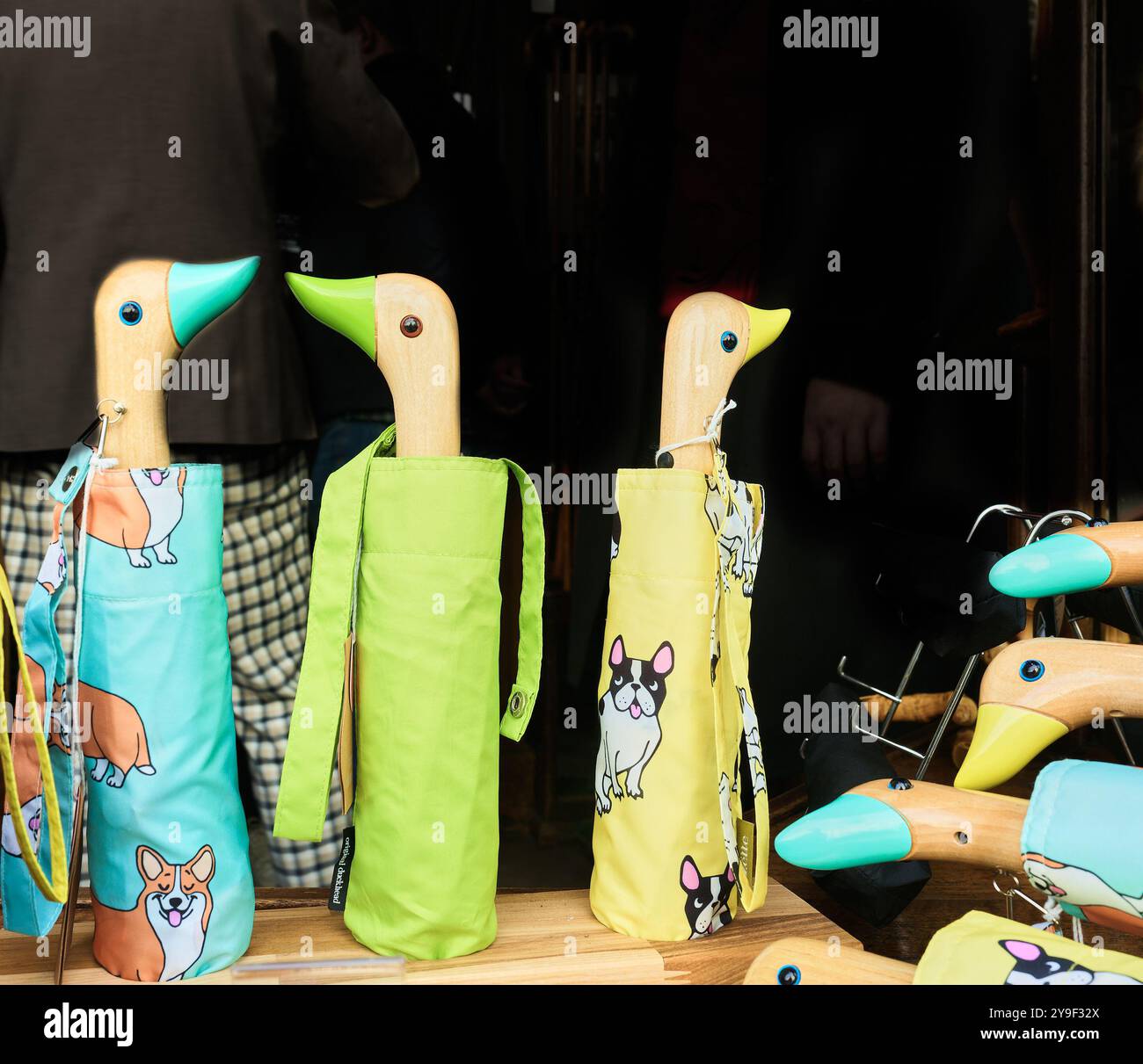 Vetrina di Jas. Smith & Sons, Umbrellas, fondata nel 1830, Bloomsbury, Londra, Inghilterra. Foto Stock