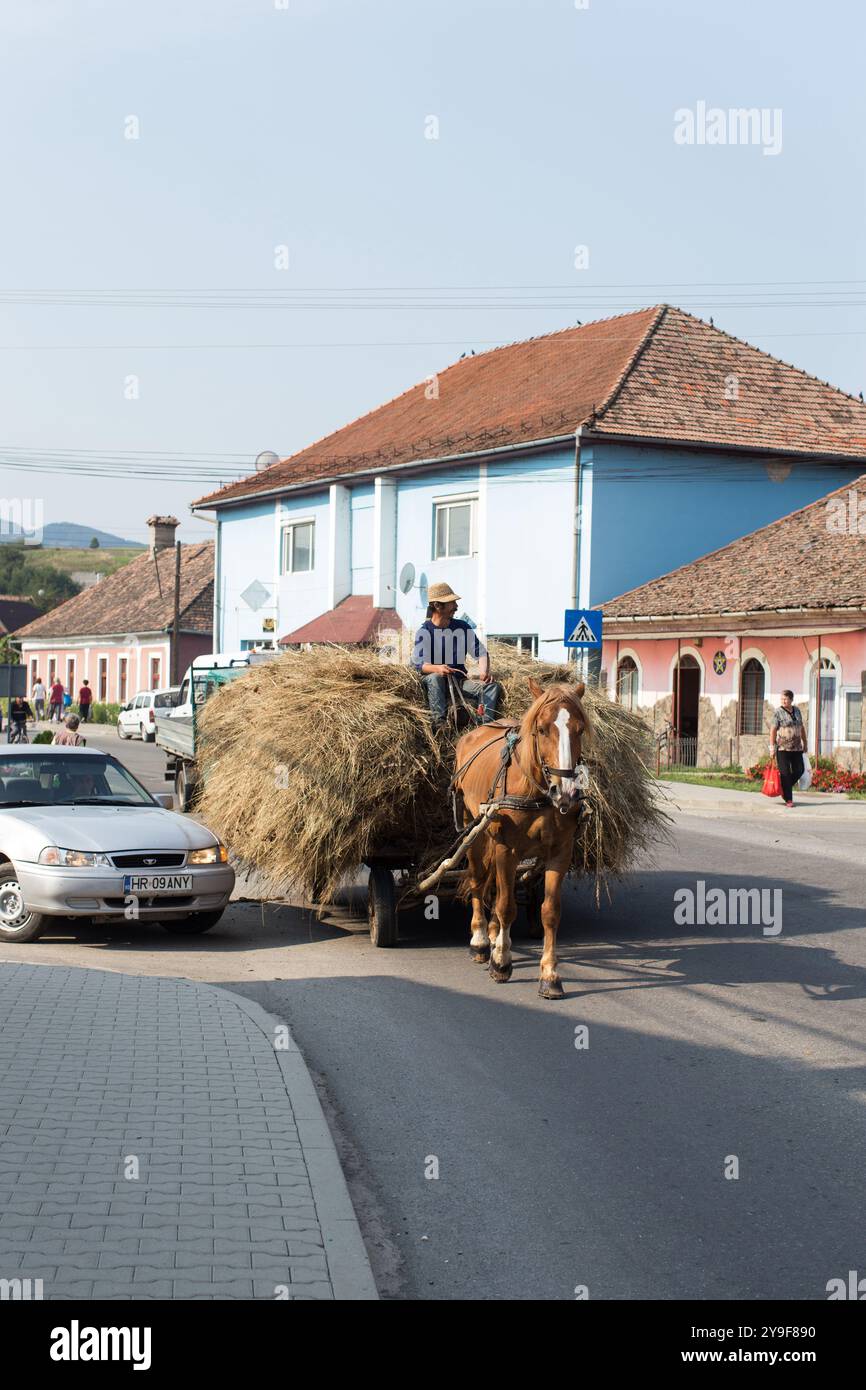 Carro trainato da cavalli carico di fieno con uomo seduto in cima al mucchio di fieno sulla strada che attraversa il villaggio di Praid in Romania. Foto Stock