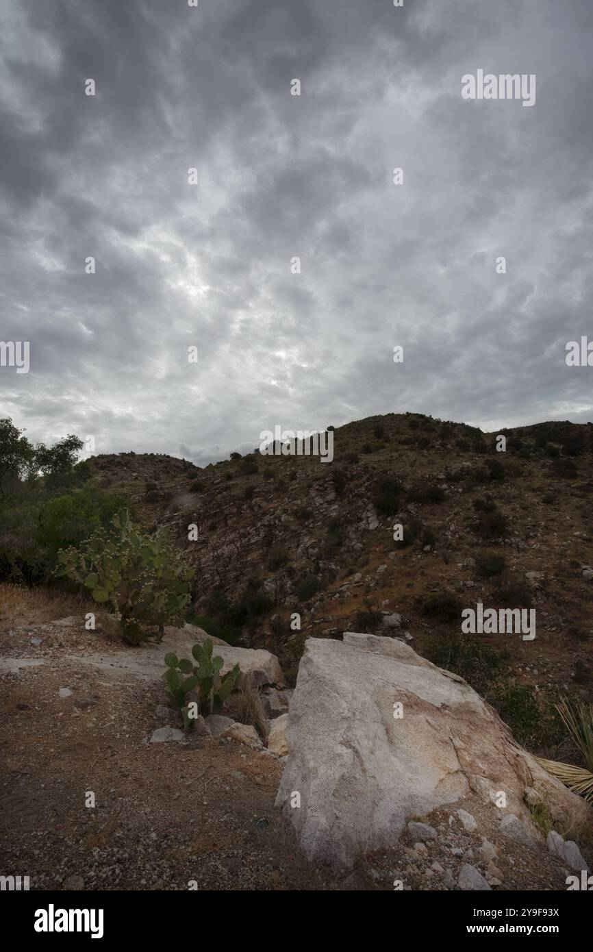 L'aspra vista del crinale è un paesaggio arido e arido, con vedute naturali lungo le elevazioni del monte Lemmon inferiore della strada panoramica Catalina Highway a Tucson, Ari Foto Stock