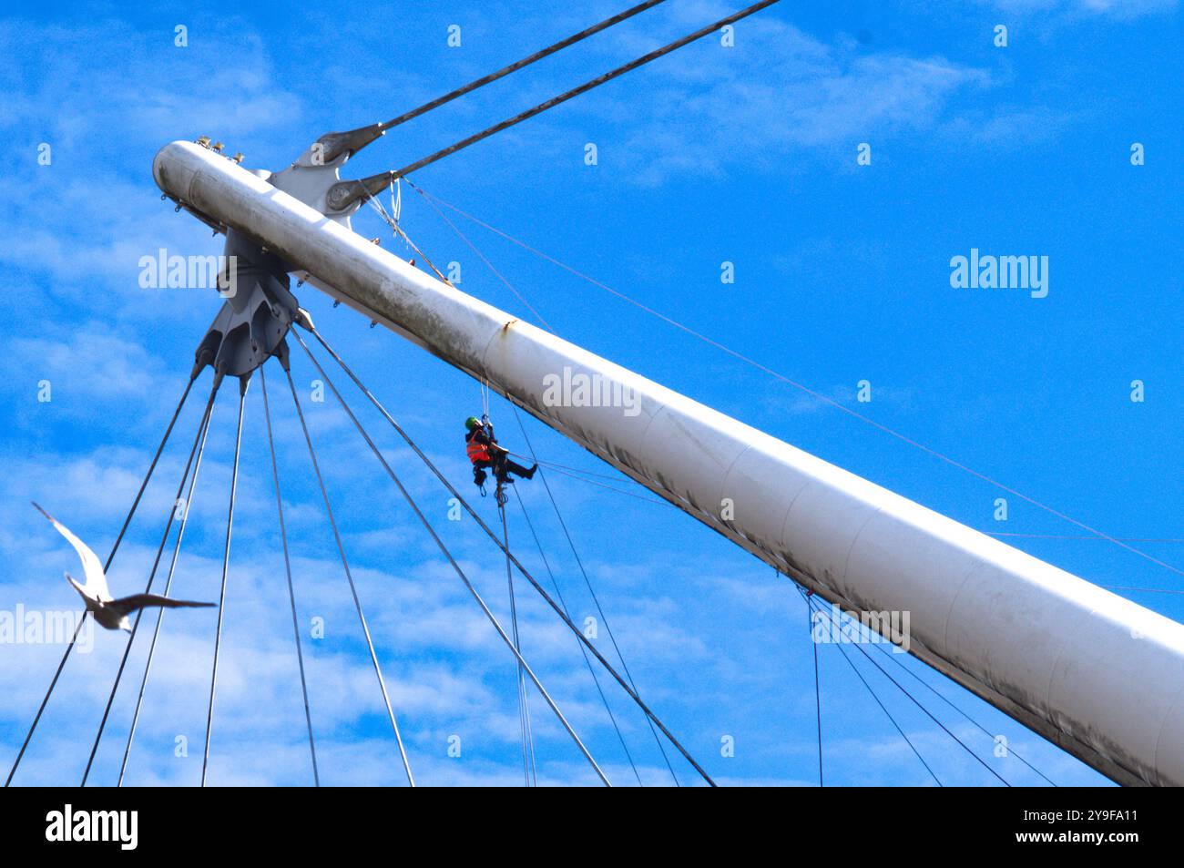 Uomo sospeso in alto. Pulizia dei bracci di sospensione del ponte Kutaisi che attraversa il fiume Usk. Centro città di Newport. Regno Unito Foto Stock