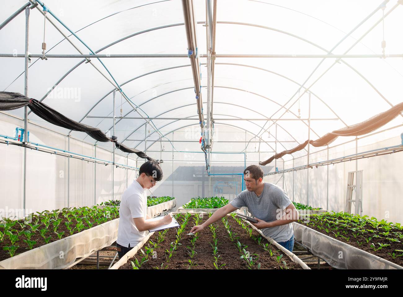 Concetto di tecnologia per l'agricoltura intelligente - l'agricoltore controlla la verdura biologica in una fattoria per serra di vivai vegetali. Tecnologia intelligente per l'agricoltura. Foto Stock