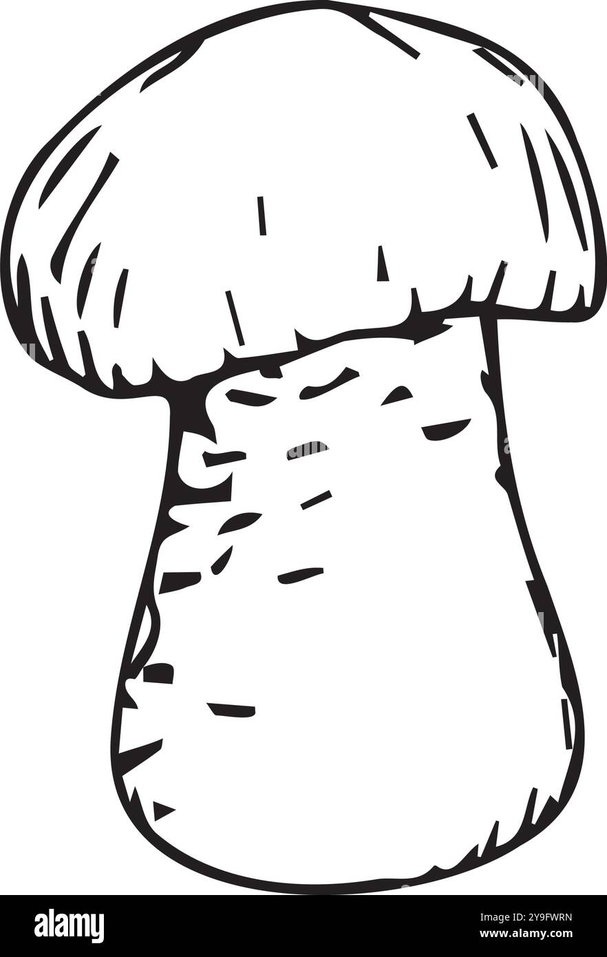 Un fungo disegnato a mano con inchiostro nero su sfondo bianco. Illustrazione vettoriale per il progetto Illustrazione Vettoriale