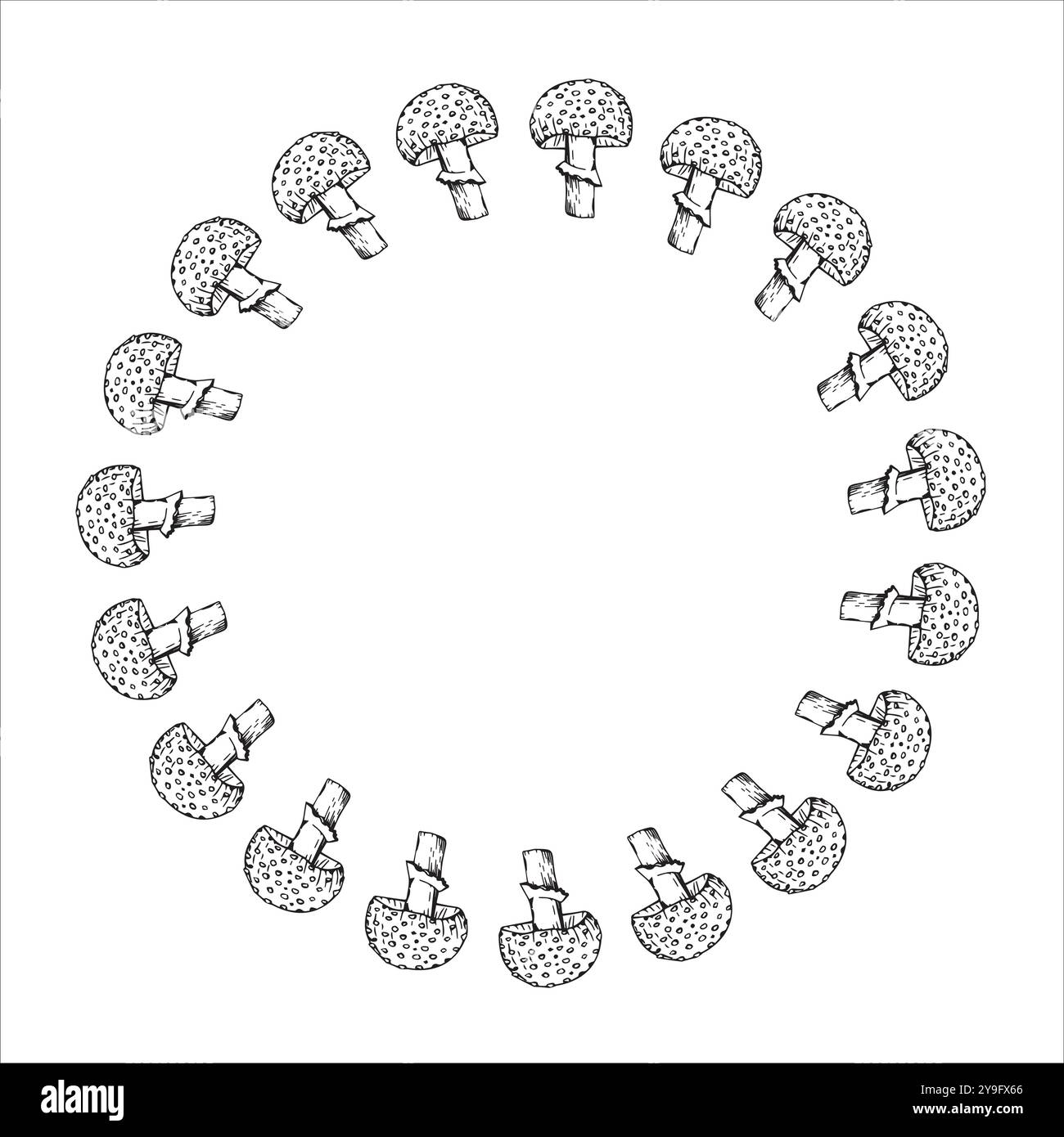 Telaio rotondo realizzato con fungo trafilato a mano in inchiostro nero su sfondo bianco. L'illustrazione è adatta per il design, le cartoline e l'imballaggio Illustrazione Vettoriale