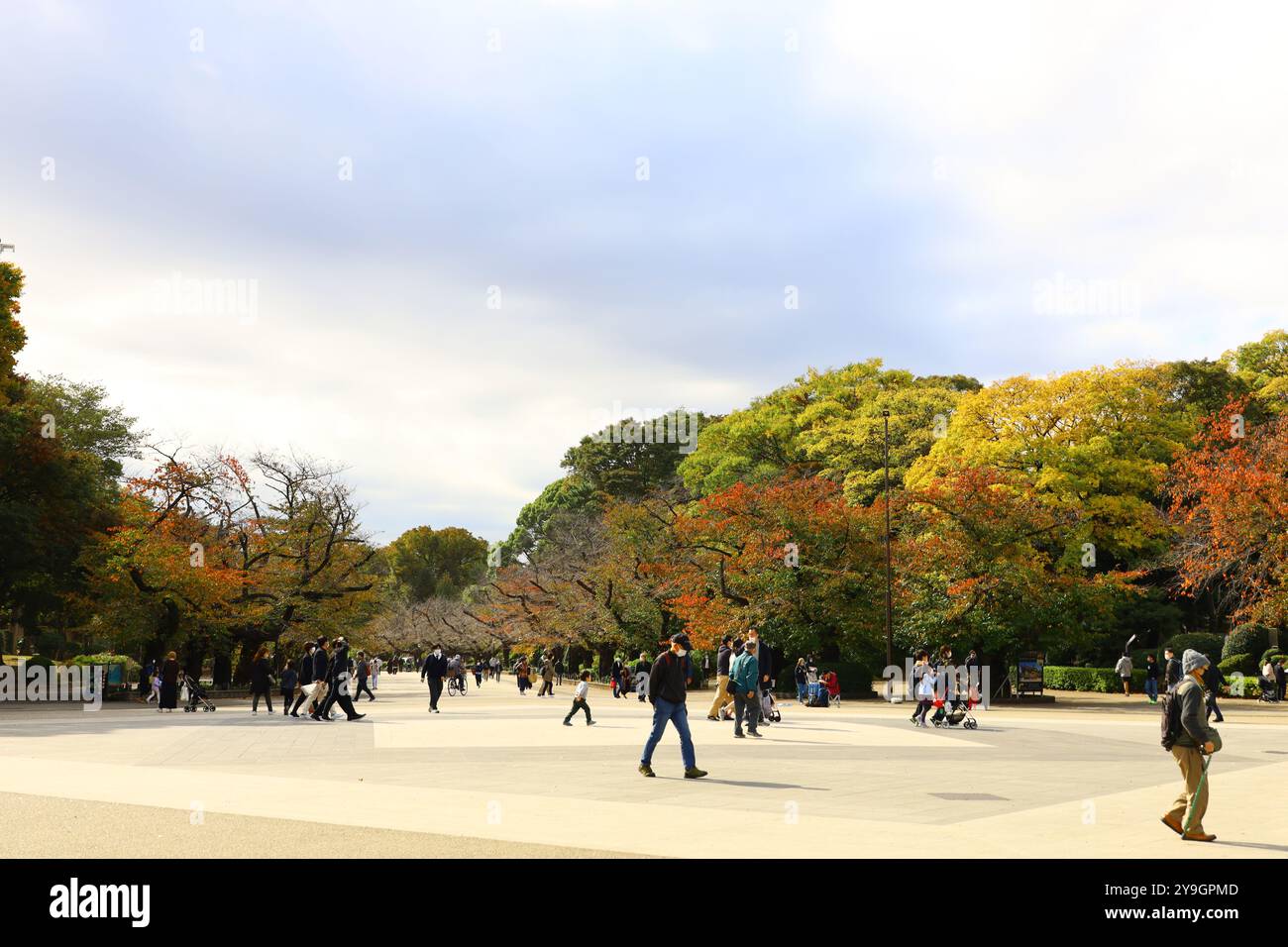 Vita quotidiana in Giappone: Parco Ueno in autunno, dove molte persone vanno e vengono a proprio piacimento Foto Stock