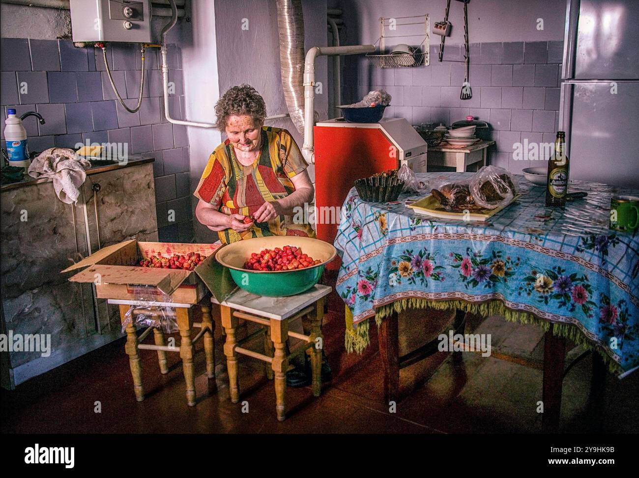 Stefania, un'anziana donna Ucraina, pulisce le fragole appena raccolte nella sua cucina. Foto Stock