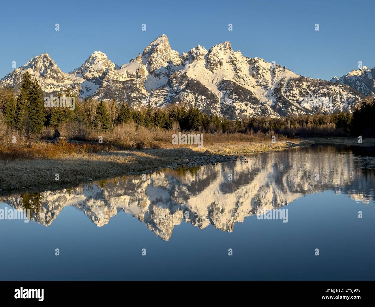 Al mattino presto presso Schwabacher Landing, Grand Teton National Park, Wyoming, Stati Uniti - Immagine stock catturata con smartphone