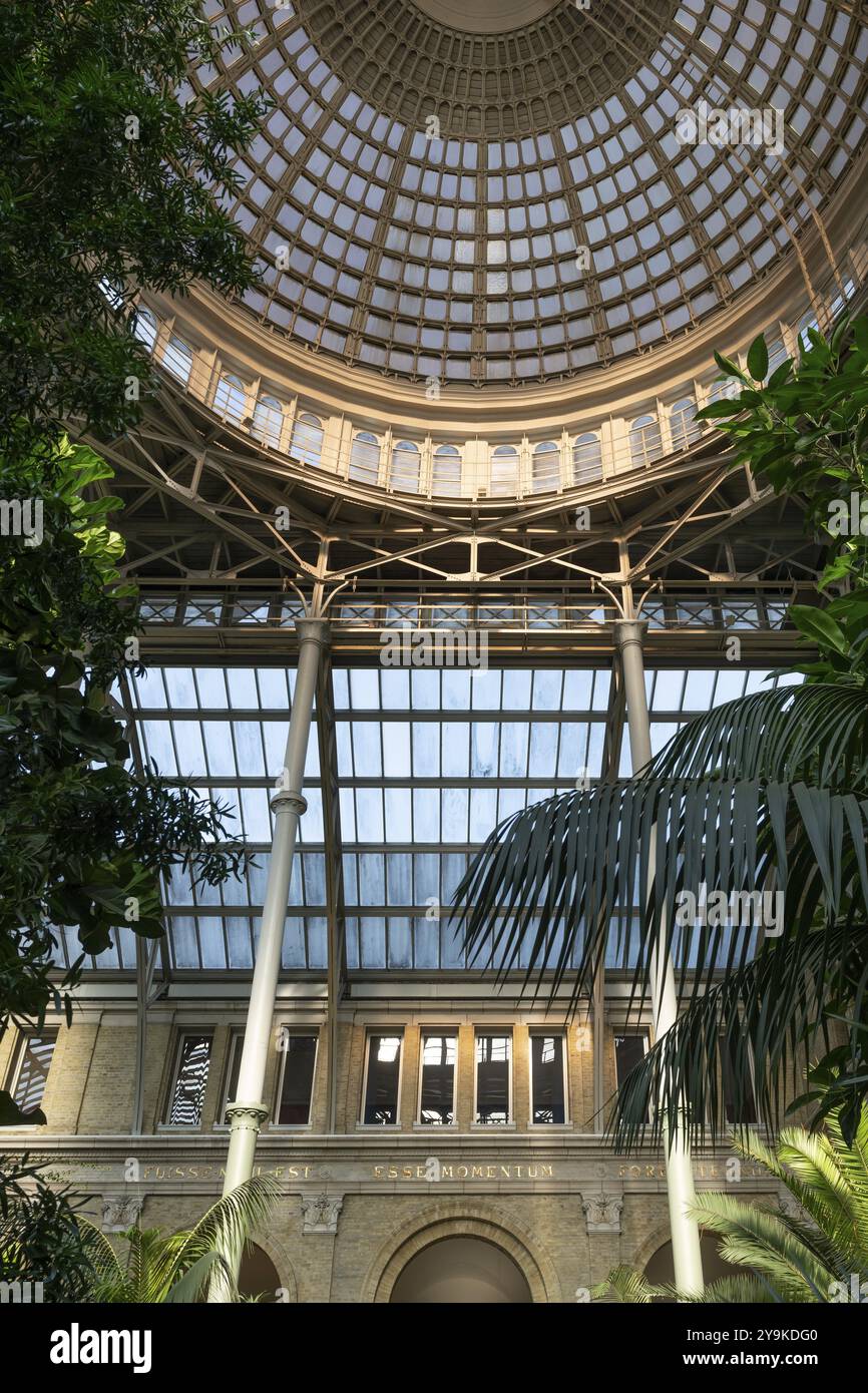 Giardino delle palme, cupola, NY Carlsberg Glyptotek o New Carlsberg Glyptothek, museo d'arte per scultura e pittura, architetti Vilhelm Dahlerup e Hack Kam Foto Stock