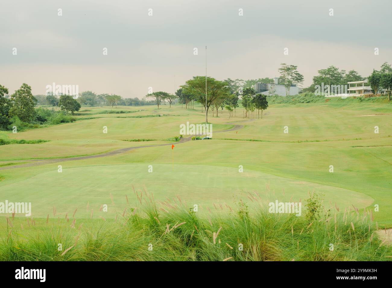 Campo da golf con erba verde ben tenuta e una bandiera rossa che segna la buca in condizioni meteorologiche nuvolose. I campi sono circondati da alberi. Foto Stock