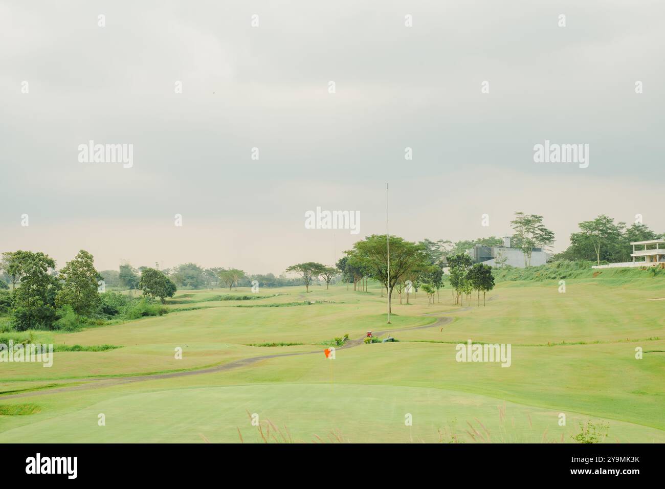 Campo da golf con erba verde ben tenuta e una bandiera rossa che segna la buca in condizioni meteorologiche nuvolose. I campi sono circondati da alberi. Foto Stock