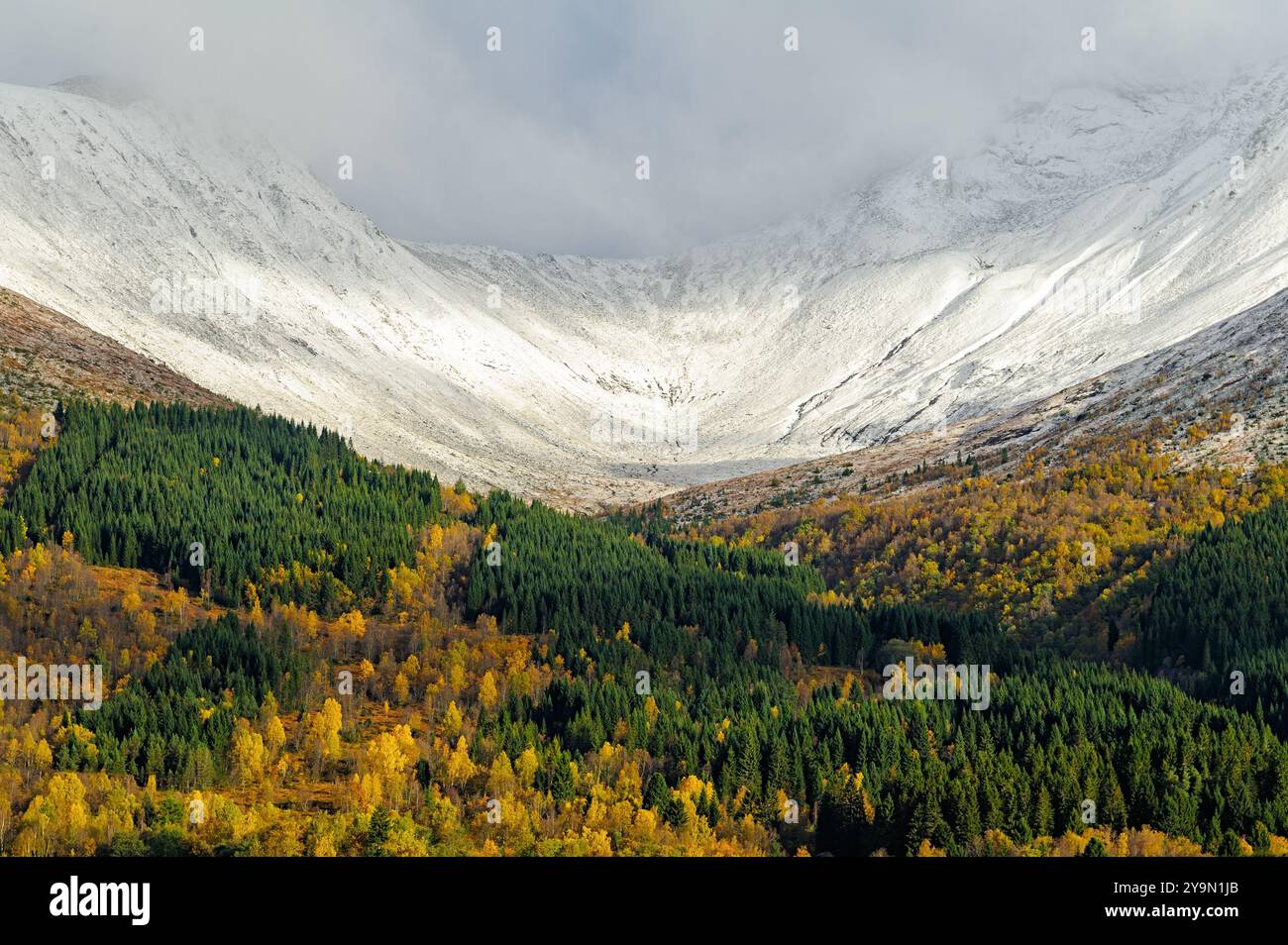 Una catena montuosa innevata incombe su una valle piena di alberi. Gli alberi sono per lo più verdi, ma alcuni sono diventati gialli per l'autunno. Foto Stock