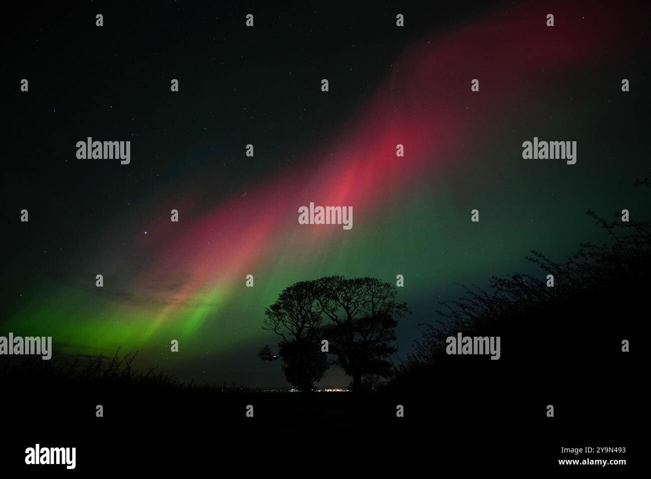 L'aurora boreale, conosciuta anche come aurora boreale, è esposta nel cielo sopra gli alberi del bacio vicino a Kinghorn nel Fife. I display Aurora si verificano quando particelle cariche urtano contro i gas nell'atmosfera terrestre intorno ai poli magnetici. Quando si scontrano, la luce viene emessa a varie lunghezze d'onda, creando delle colorate esposizioni nel cielo. Data foto: Venerdì 11 ottobre 2024. Foto Stock