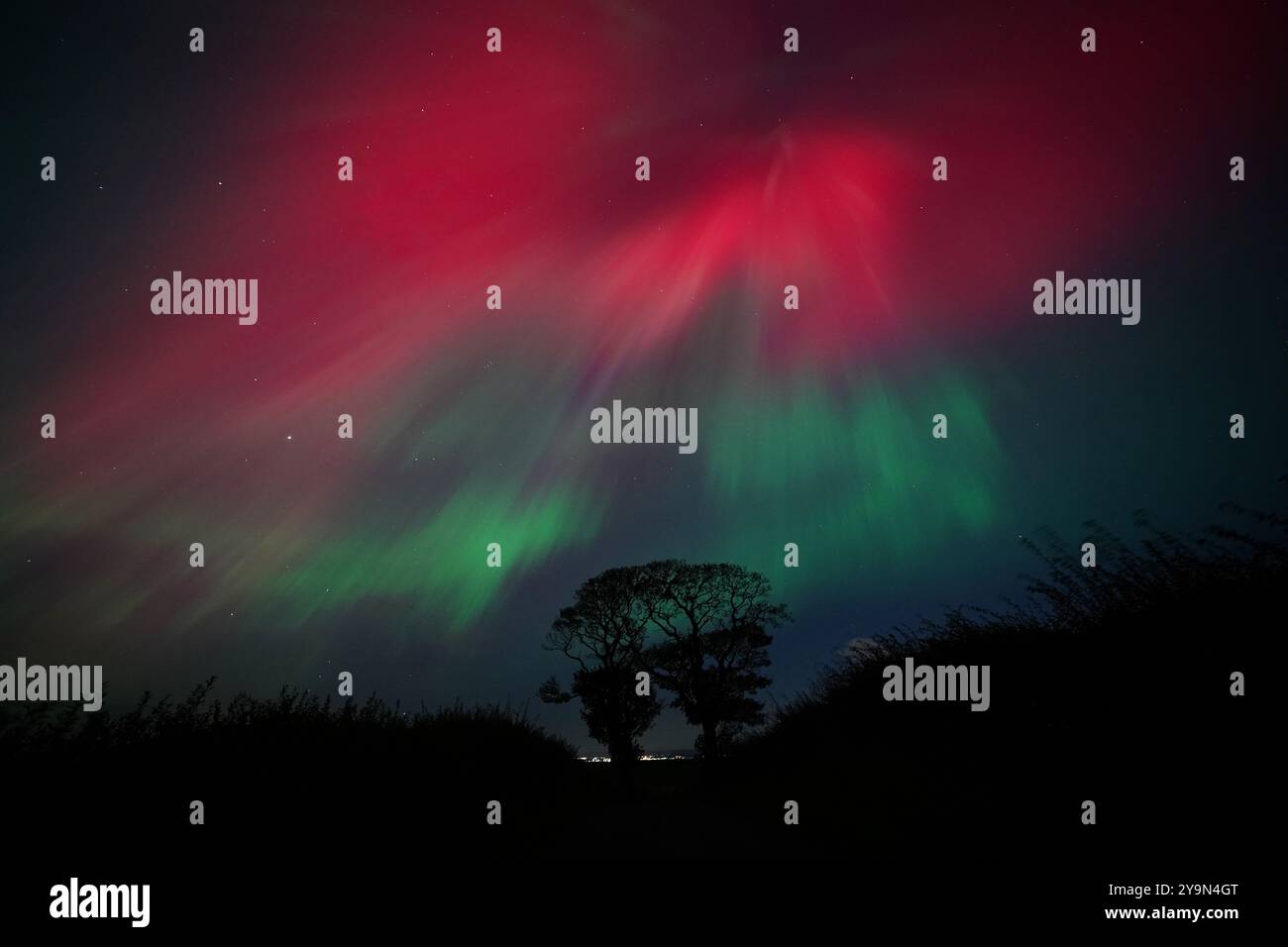 L'aurora boreale, conosciuta anche come aurora boreale, è esposta nel cielo sopra gli alberi del bacio vicino a Kinghorn nel Fife. I display Aurora si verificano quando particelle cariche urtano contro i gas nell'atmosfera terrestre intorno ai poli magnetici. Quando si scontrano, la luce viene emessa a varie lunghezze d'onda, creando delle colorate esposizioni nel cielo. Data foto: Venerdì 11 ottobre 2024. Foto Stock