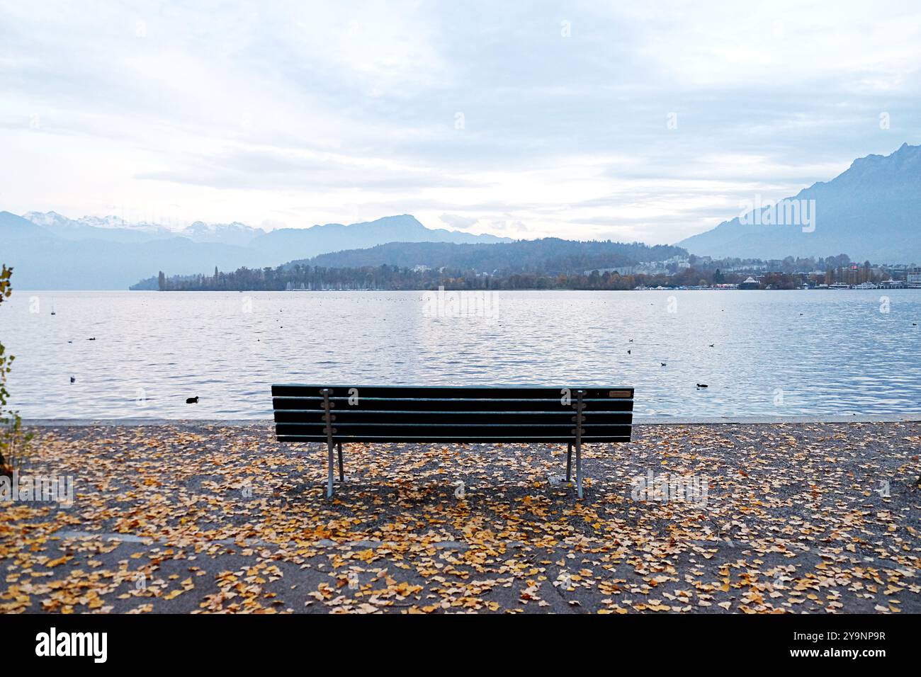 Shades of Autumn - collezione di colori naturali Lucerna Svizzera Foto Stock