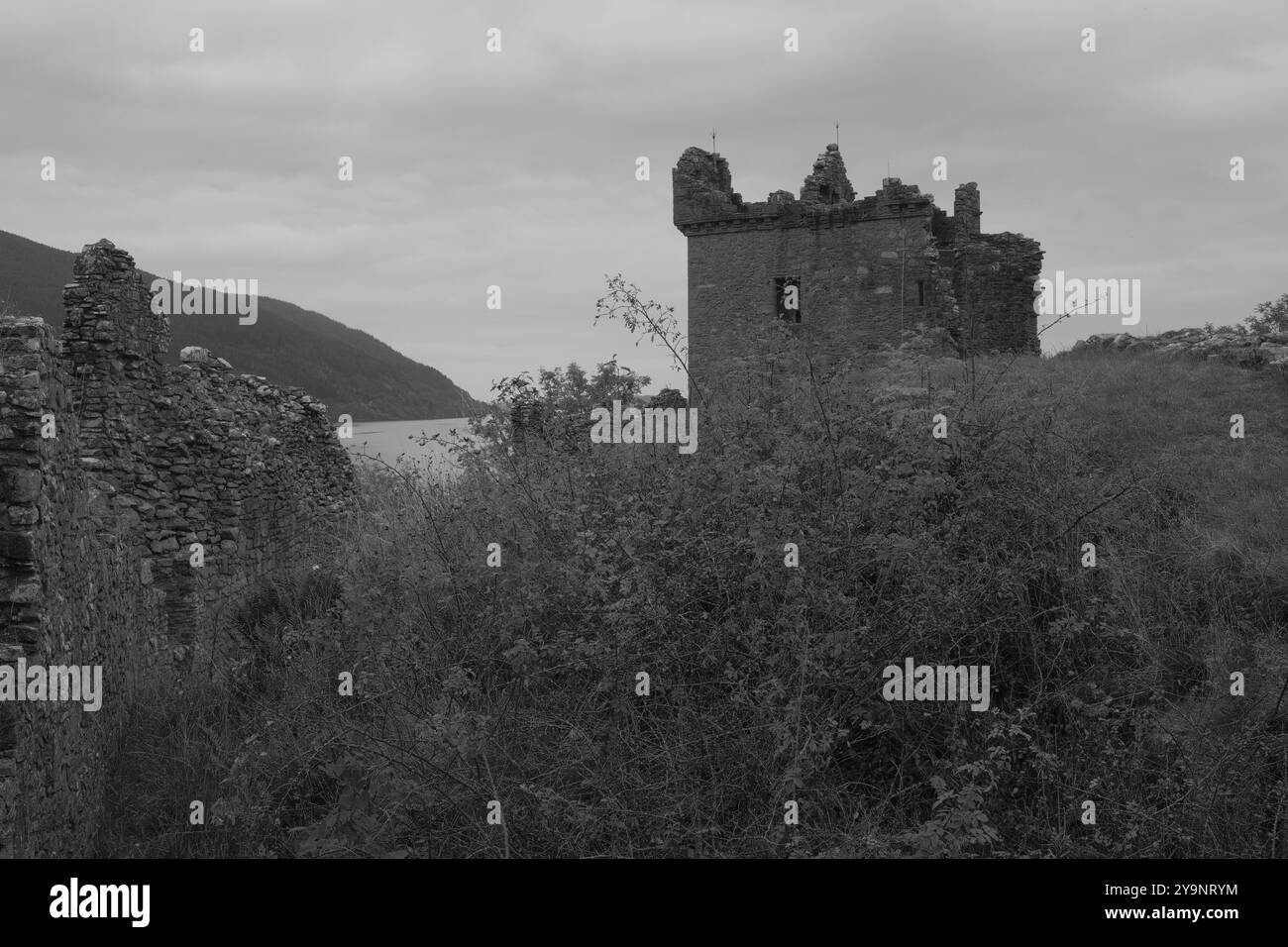 Rovine del castello di Urquhart sulla riva occidentale di Loch Ness, Drumnadrochit, Highland, Scozia Foto Stock