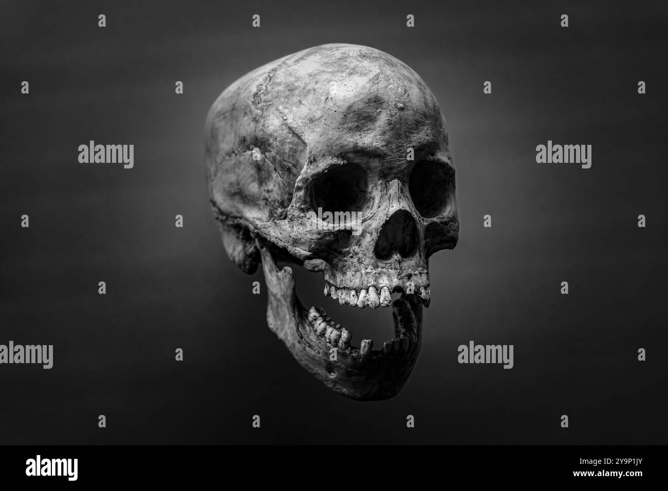 un teschio umano grigio spaventoso su sfondo scuro. Fotografia in bianco e nero. Il concetto di paura e orrore. Foto Stock