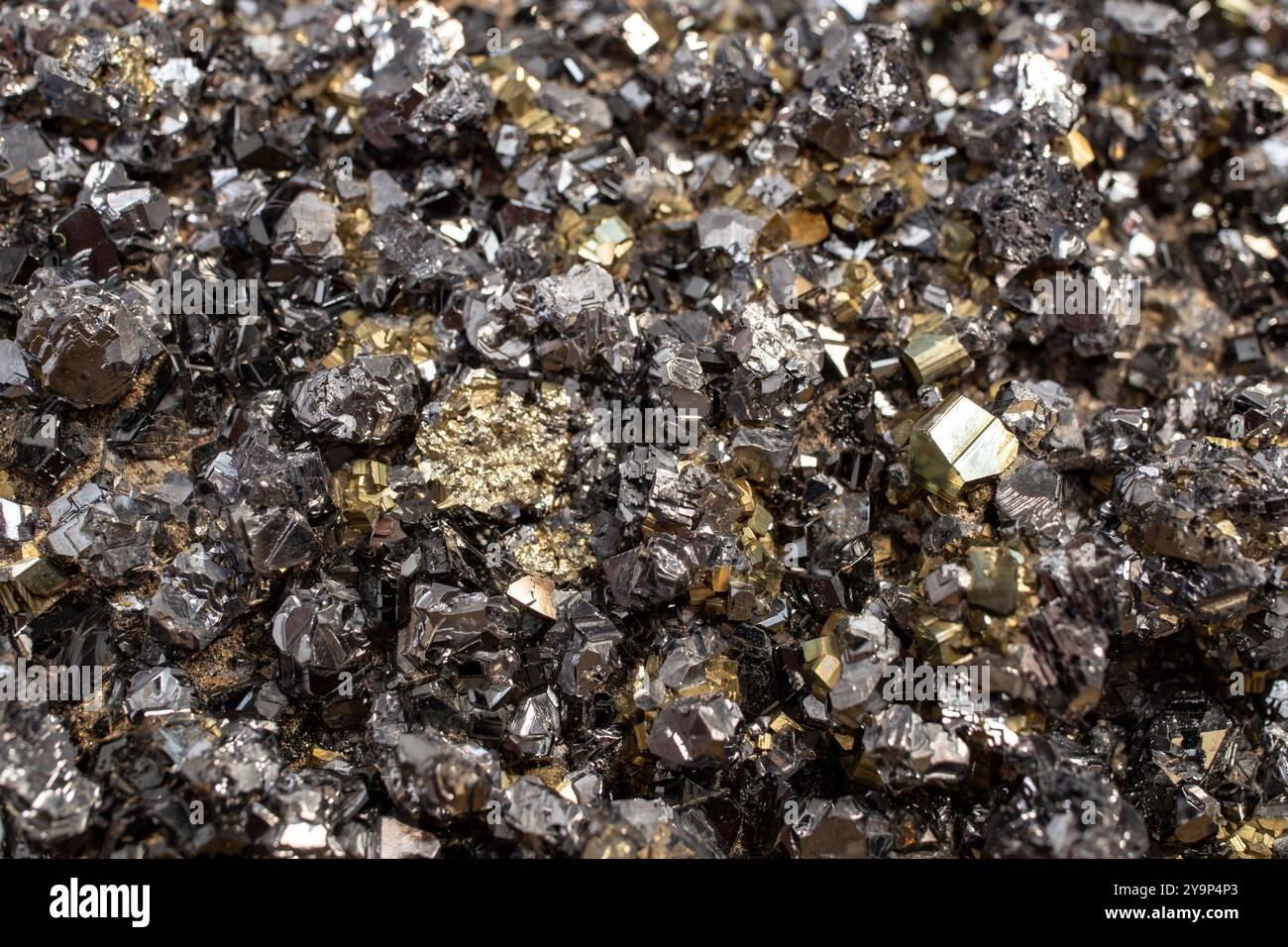 Fiore minerale di pirite colore nero e dorato messa a fuoco morbida primo piano, motivo astratto Foto Stock