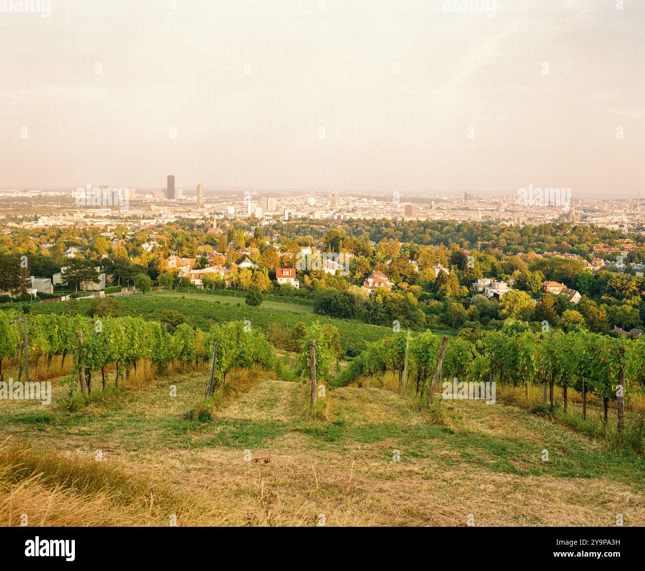 Hans und Fritz Buschenschank, azienda vinicola austriaca (HEURIGER) Krapfenwaldgasse, Vienna, Austria. Foto Stock