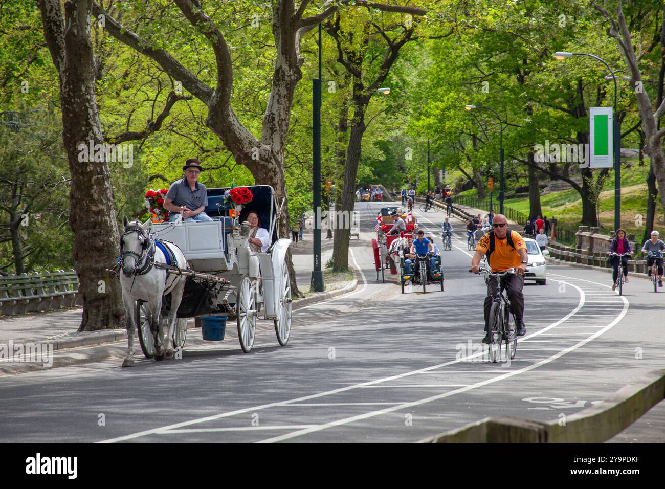 Giri in carrozza e traffico di biciclette a Central Park New York Foto Stock