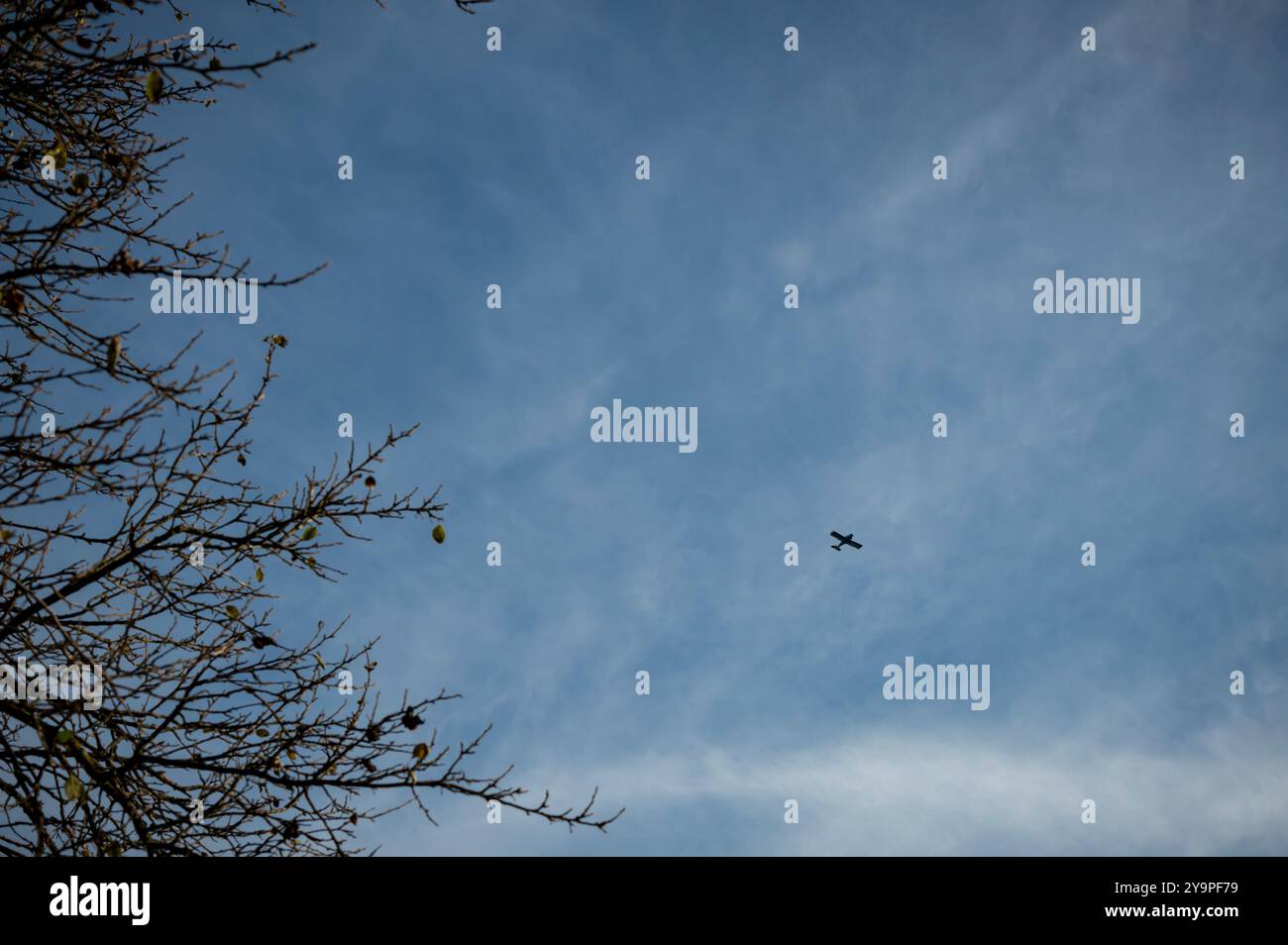 Piccolo aereo che vola a bassa quota, visto tra i rami degli alberi. Foto Stock