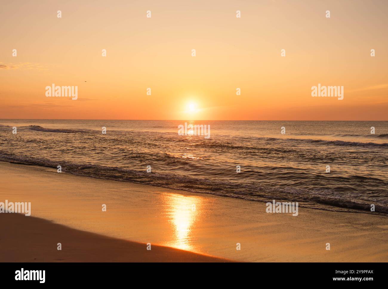 Tramonto dorato sulle calme onde dell'oceano Foto Stock