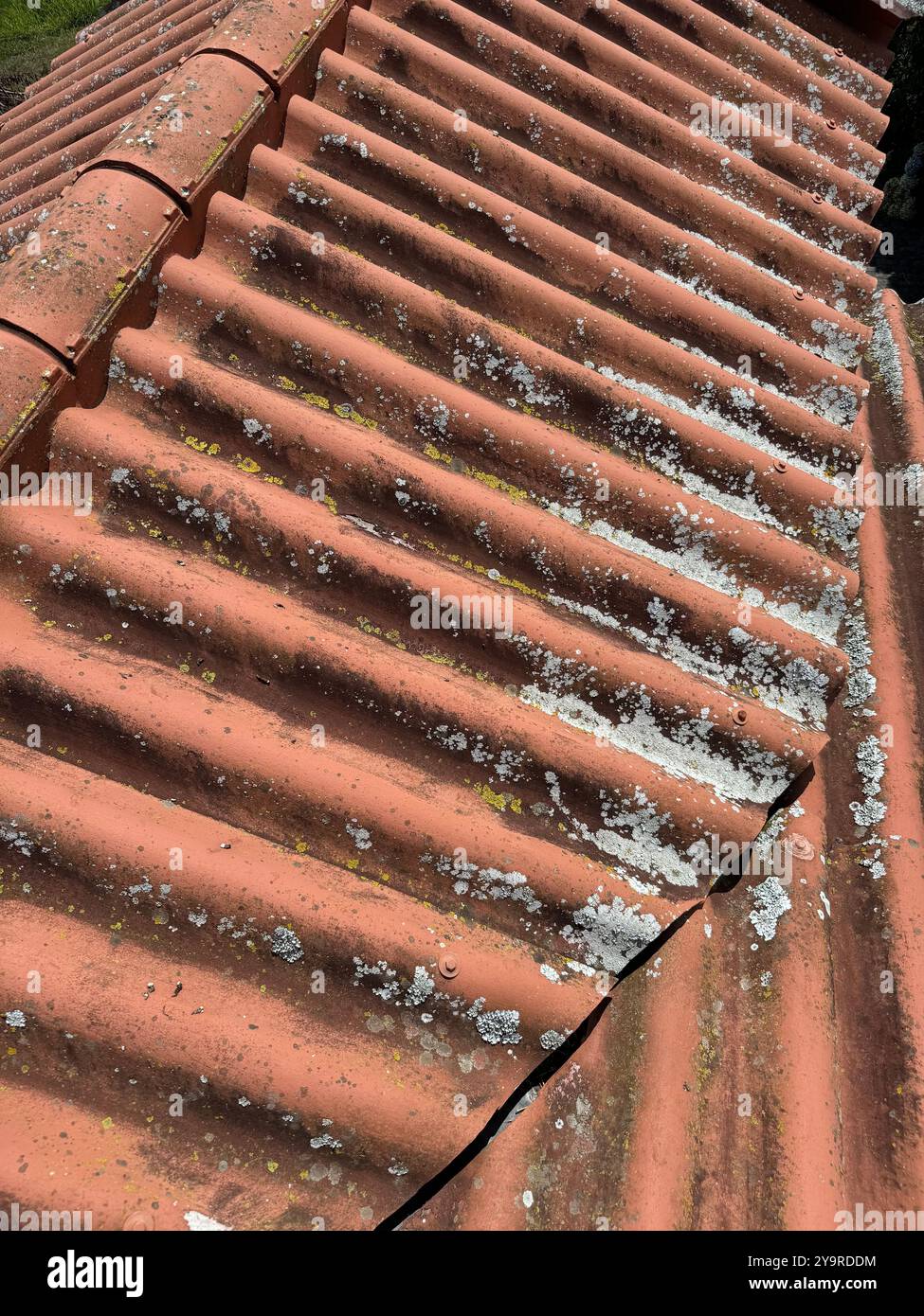 Tegole ondulate intemprate che mostrano la crescita del lichene e il deterioramento della superficie che richiedono manutenzione. Foto Stock
