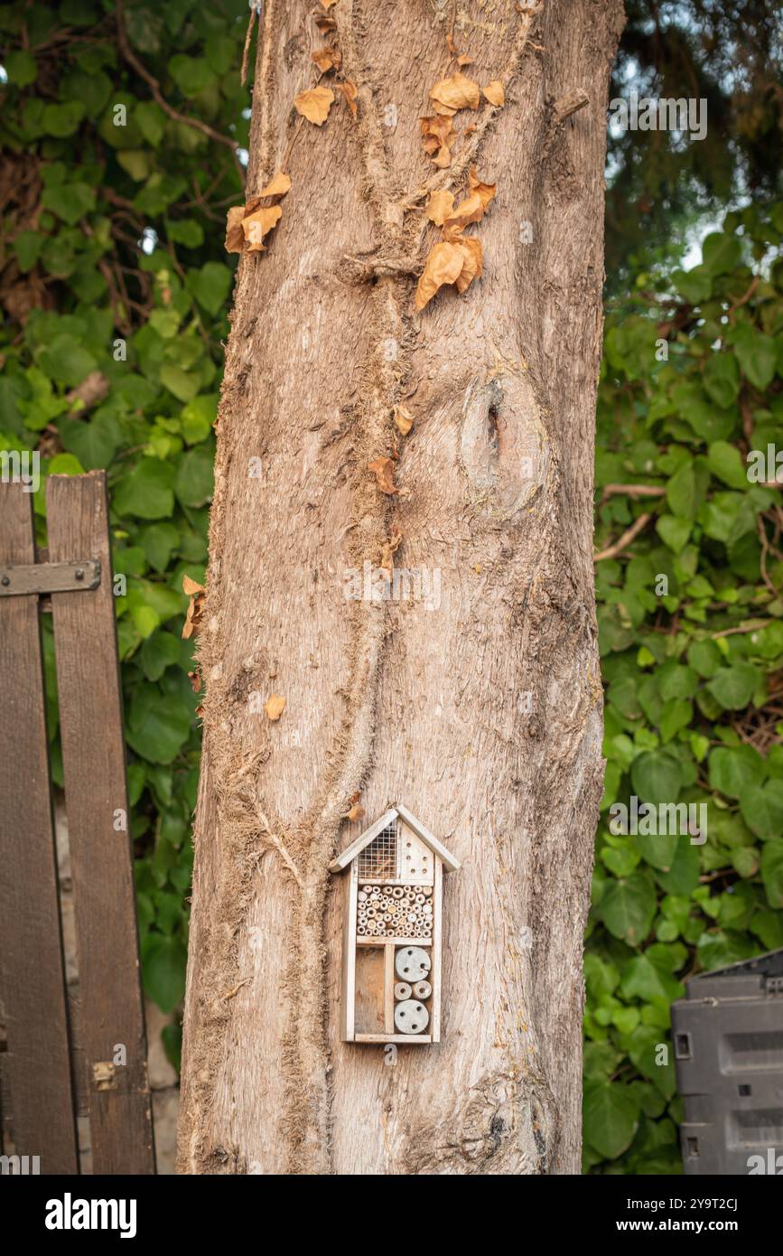 Casa degli uccelli su un albero nel giardino all'aperto Foto Stock