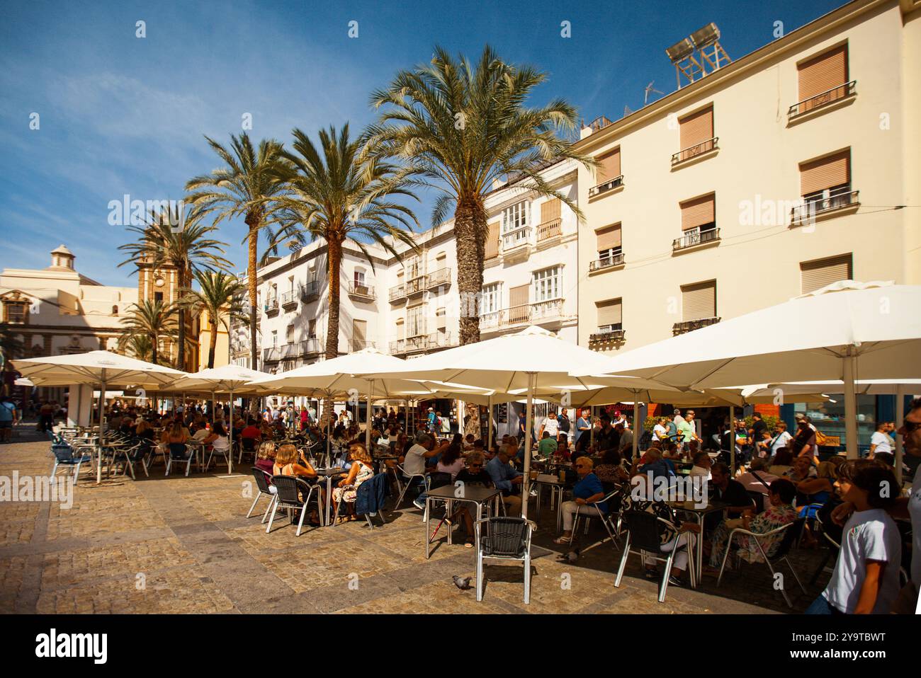 Cadice, Spagna/6 ottobre 2024: Strada fiancheggiata da palme di caffetterie con turisti e locali che mangiano e bevono in Piazza della Cattedrale Foto Stock
