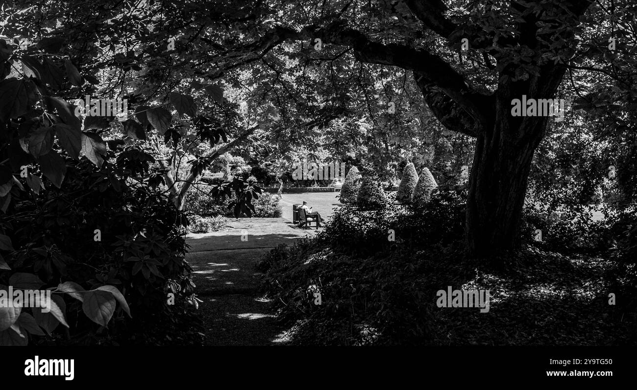 Londra - 06 15 2022: Sloane St Garden, persona seduta nel parco in bianco e nero Foto Stock